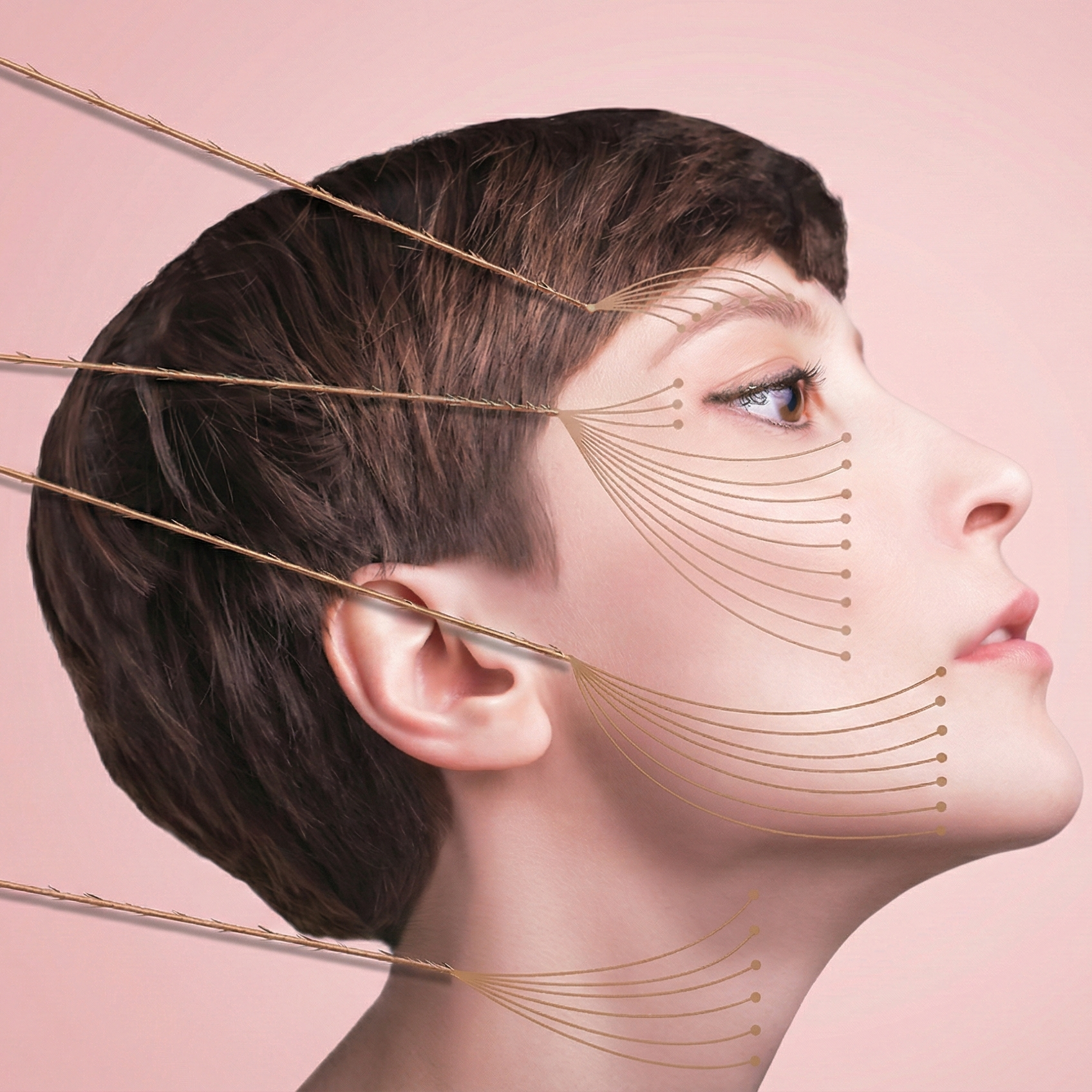 Gemini_Generated_Image_pxswlxpxswlxpxsw